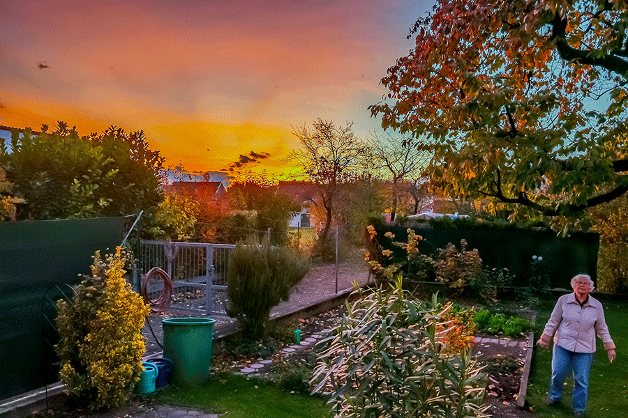 Unser Garten im Abendrot - Fotos JoSt   2025